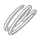 Spiral C
